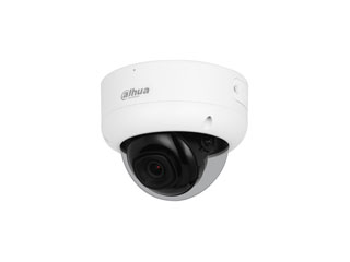 WizSense Full HD Mini Dome Caméra surveillance